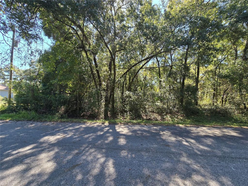 Lot 11 NW 16TH PLACE, Ocala, FL 34482