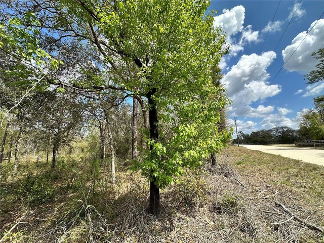 tbd NE 63RD PLACE, Williston, FL 32696