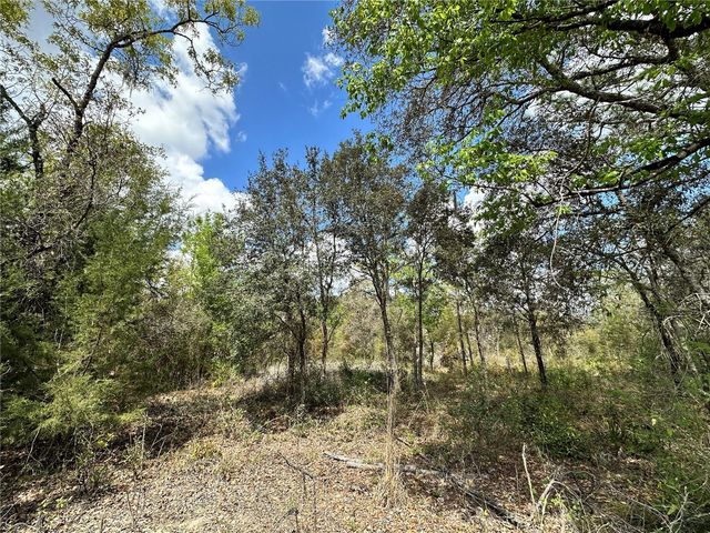 tbd NE 63RD PLACE, Williston, FL 32696