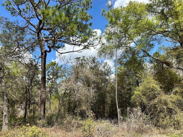 tbd NE 63RD PLACE, Williston, FL 32696