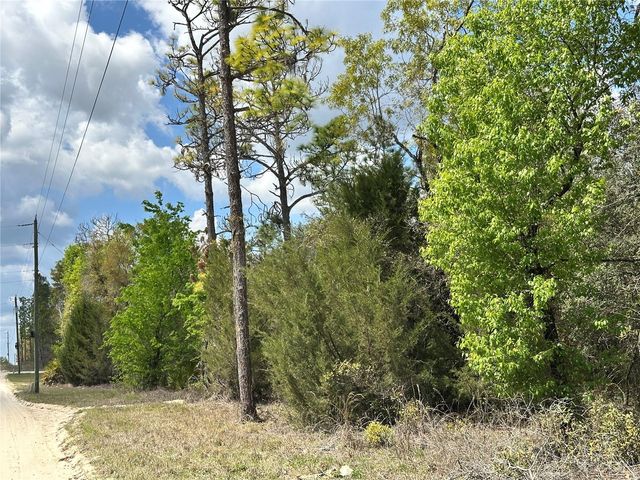 tbd NE 63RD PLACE, Williston, FL 32696