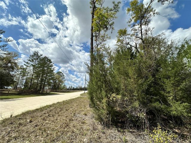 tbd NE 63RD PLACE, Williston, FL 32696