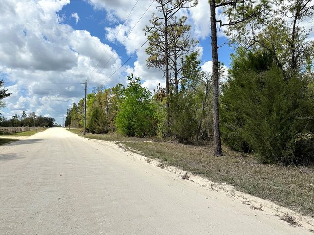 tbd NE 63RD PLACE, Williston, FL 32696