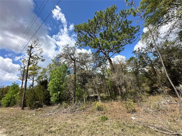 tbd NE 63RD PLACE, Williston, FL 32696