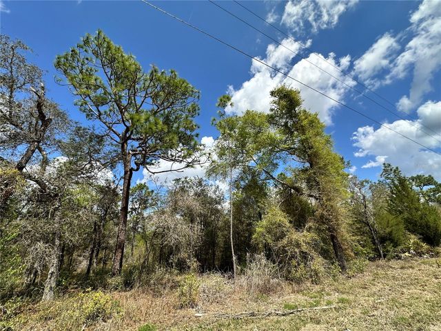 tbd NE 63RD PLACE, Williston, FL 32696