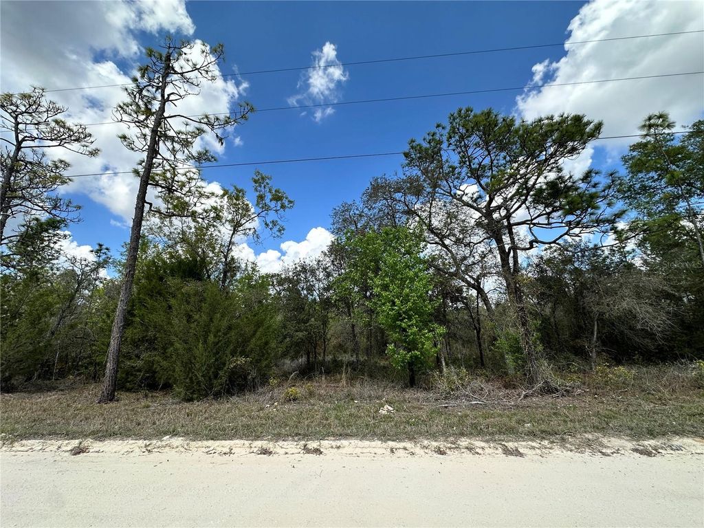 tbd NE 63RD PLACE, Williston, FL 32696