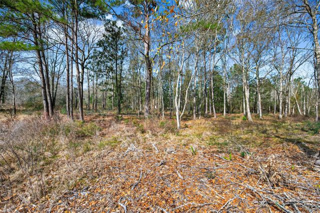 140 Marie Street, Shepherd, TX 77371