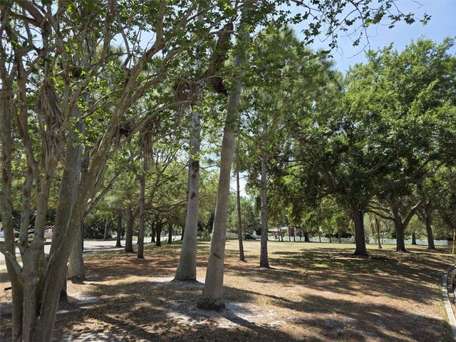 5210 DR MARTIN LUTHER KING JR ST N STREET, St Petersburg, FL 33703