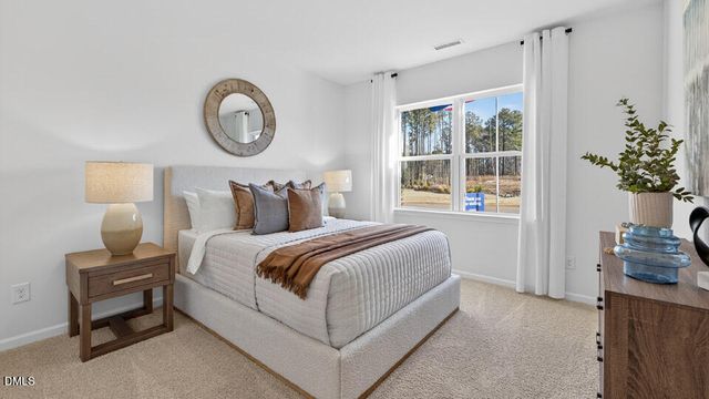 81 Tiger Eye Drive, Clayton, NC 27520