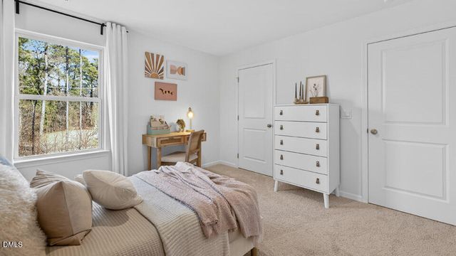 81 Tiger Eye Drive, Clayton, NC 27520