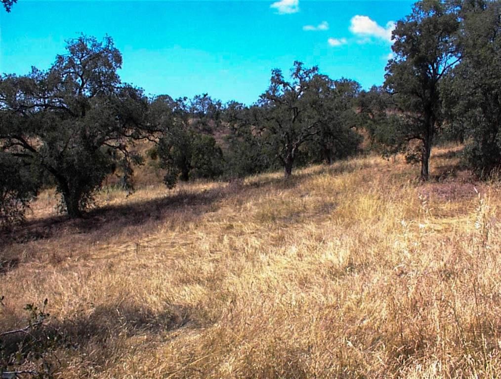 Image 1 of property listing at 128 Hickory Lane, Yokuts Valley, CA 93675
