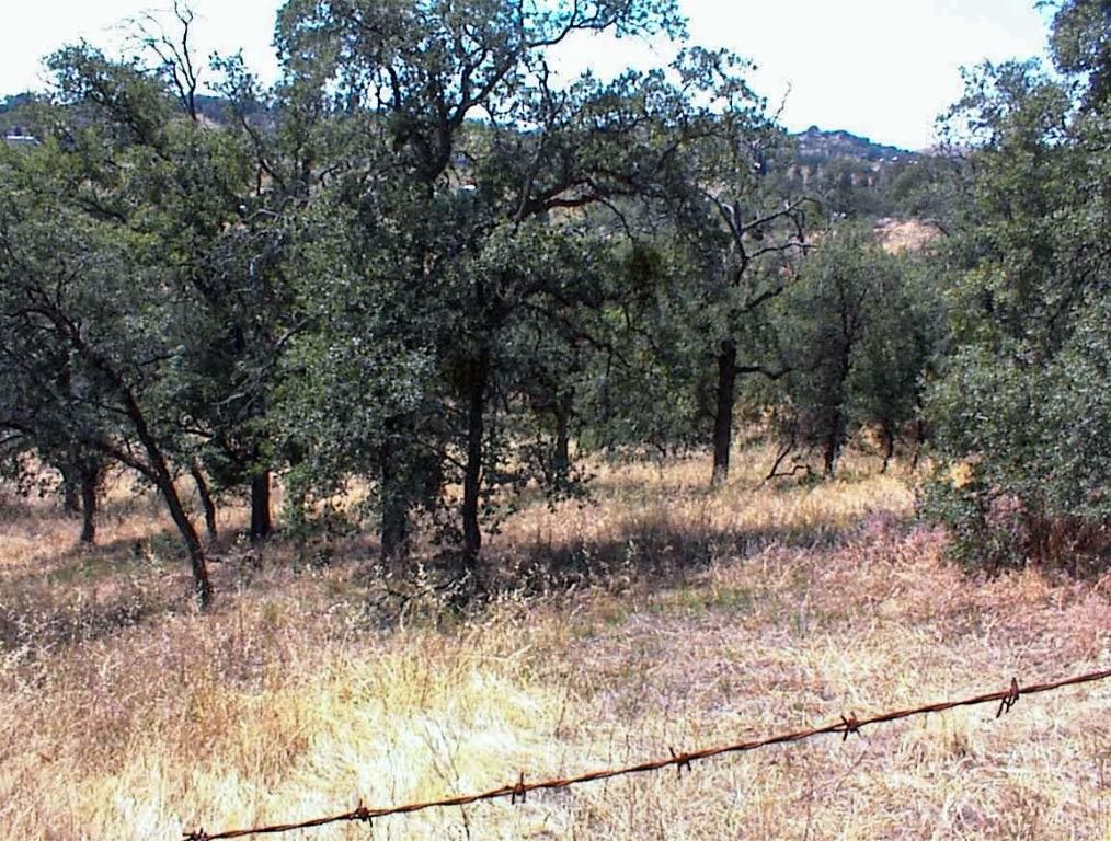 Image 3 of property listing at 128 Hickory Lane, Yokuts Valley, CA 93675