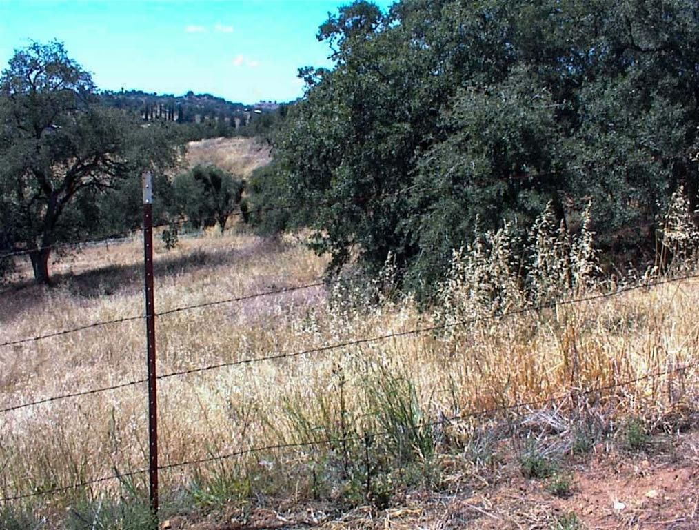 Image 4 of property listing at 128 Hickory Lane, Yokuts Valley, CA 93675