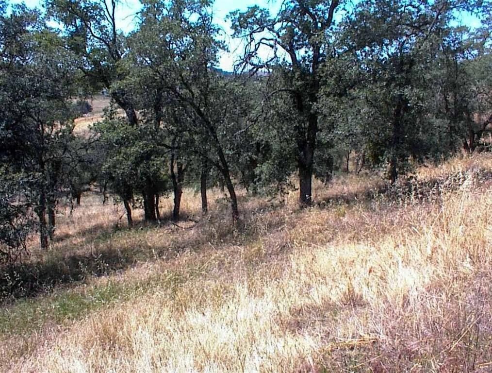 Image 5 of property listing at 128 Hickory Lane, Yokuts Valley, CA 93675