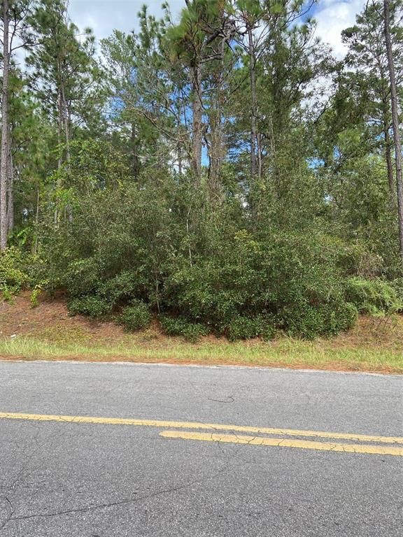 SW 155 STREET SW, Dunnellon, FL 34432