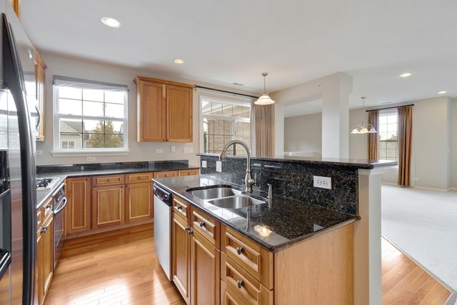 1376 Scarboro Road 1003, Schaumburg, IL 60193
