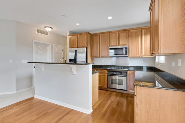 1376 Scarboro Road 1003, Schaumburg, IL 60193