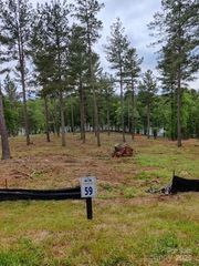 2120 Princeton Mountain None 59, Connelly Springs, NC 28612