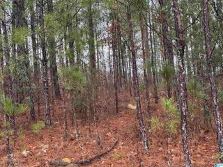 318 WILLOW LANE, Vincent, AL 35178