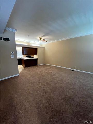 2204 Menard Street, St Louis, MO 63104