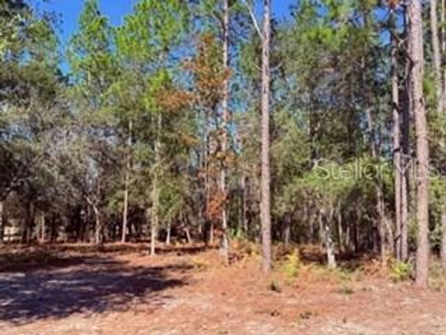 2629 NW 29TH TERRACE, Bell, FL 32619