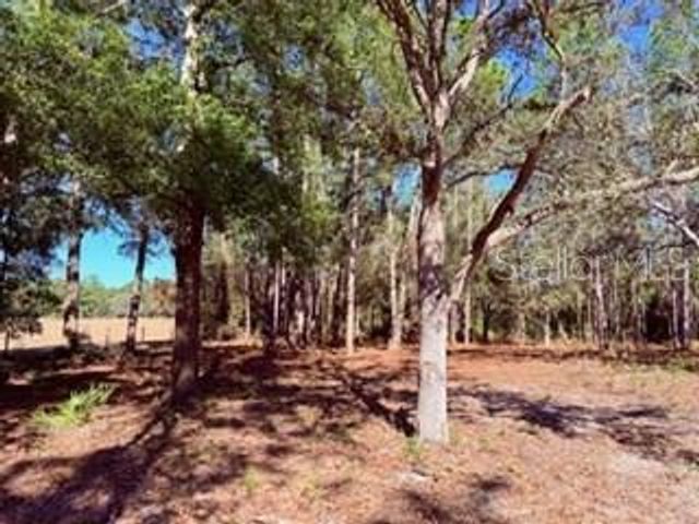 2629 NW 29TH TERRACE, Bell, FL 32619