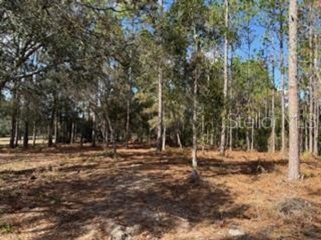 2629 NW 29TH TERRACE, Bell, FL 32619