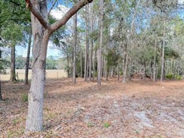 2629 NW 29TH TERRACE, Bell, FL 32619