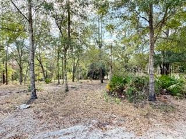 2629 NW 29TH TERRACE, Bell, FL 32619