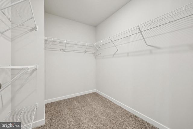 465 WOODGRAIN AVE, La Plata, MD 20646