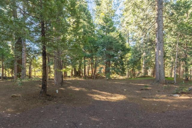 3650 Shoshone, Arnold, CA 95223