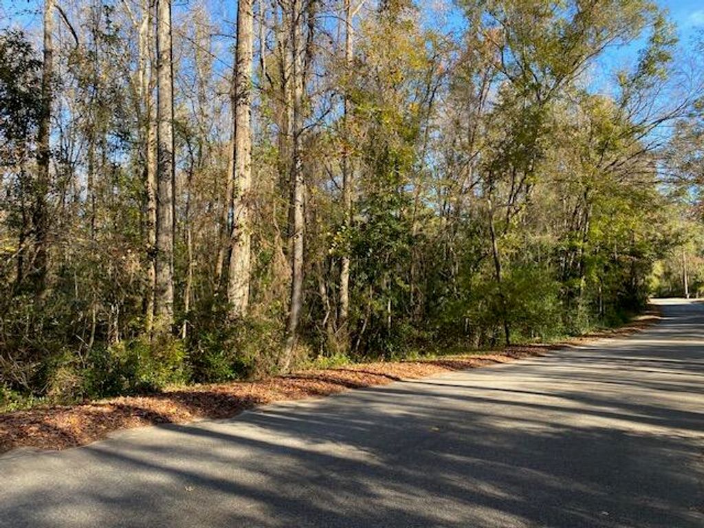 1468 Ireland Hills Drive, Walterboro, SC 29488