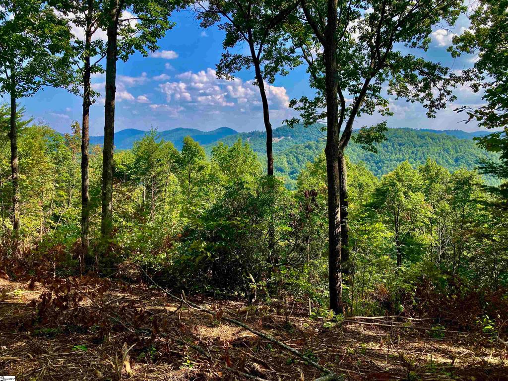 47 Mountain Oak Lane, Travelers Rest, SC 29690