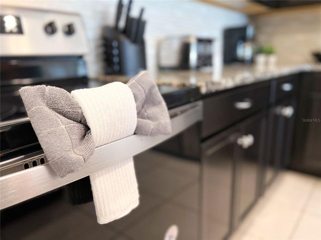 2442 DUBAI STREET, Kissimmee, FL 34747