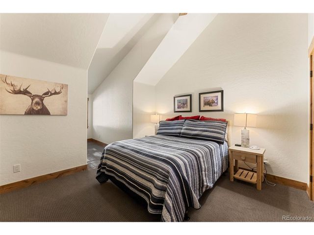 40 Cooney Ct, Blue River, CO 80424