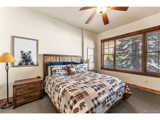 40 Cooney Ct, Blue River, CO 80424