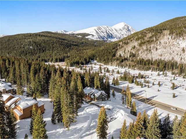 40 Cooney Ct, Blue River, CO 80424