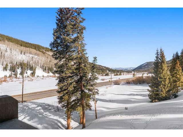 40 Cooney Ct, Blue River, CO 80424