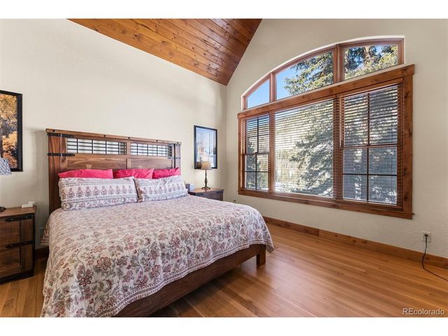 40 Cooney Ct, Blue River, CO 80424