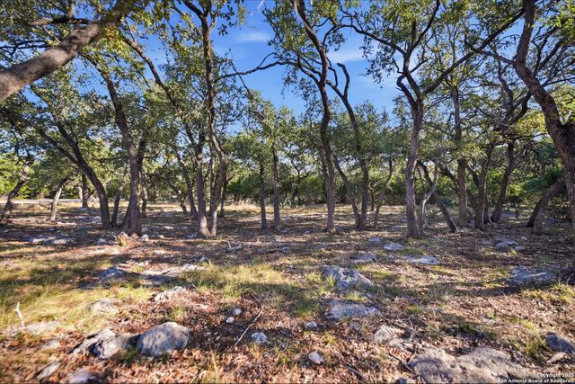 564 Saxet, Spring Branch, TX 78070