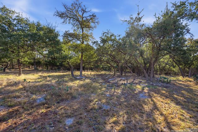 564 Saxet, Spring Branch, TX 78070
