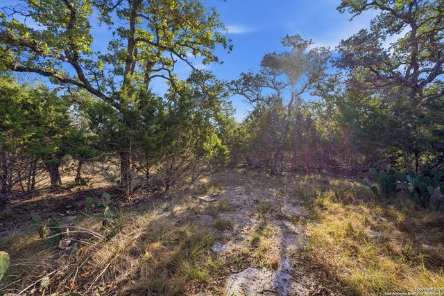 564 Saxet, Spring Branch, TX 78070