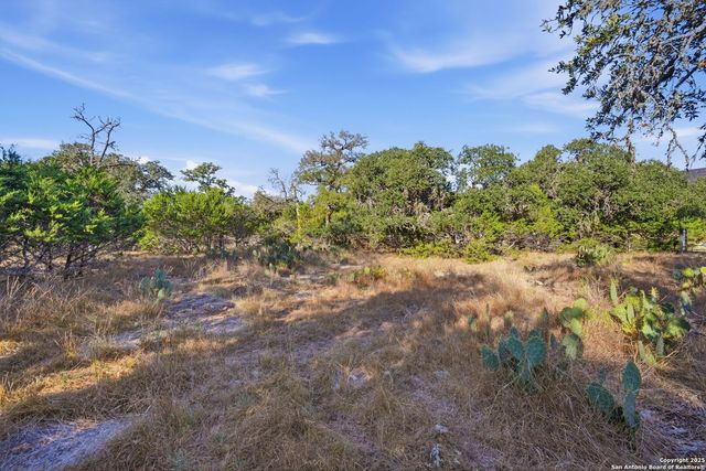 564 Saxet, Spring Branch, TX 78070