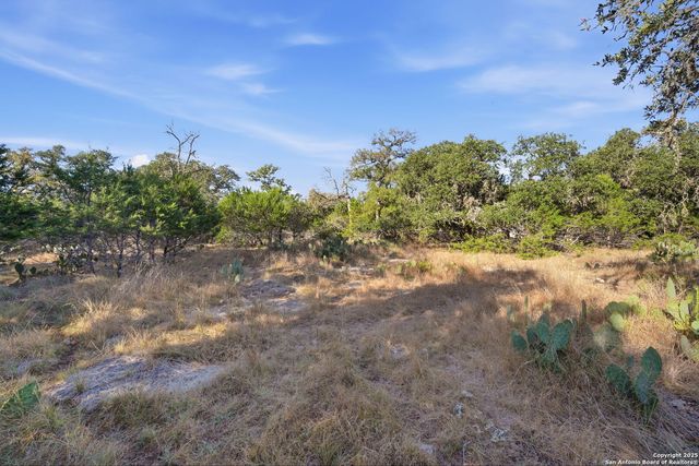 564 Saxet, Spring Branch, TX 78070