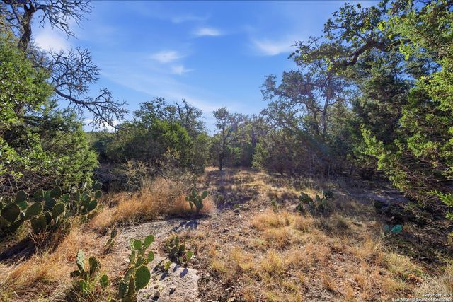 564 Saxet, Spring Branch, TX 78070