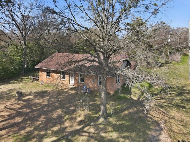 615 QUITMAN, Pittsburg, TX 75686