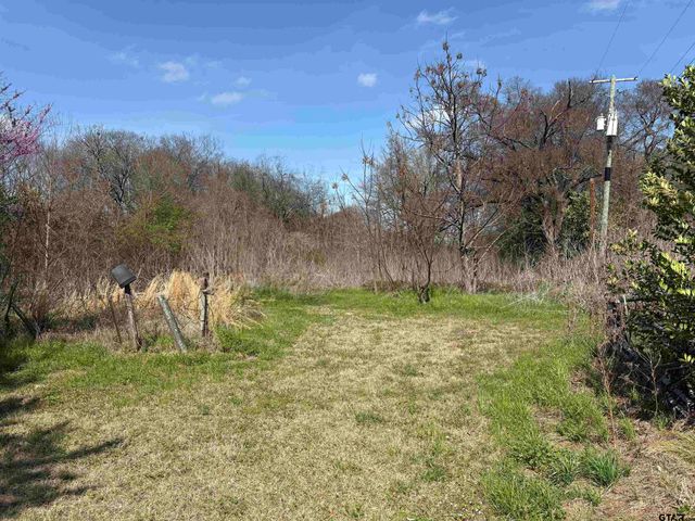 615 QUITMAN, Pittsburg, TX 75686