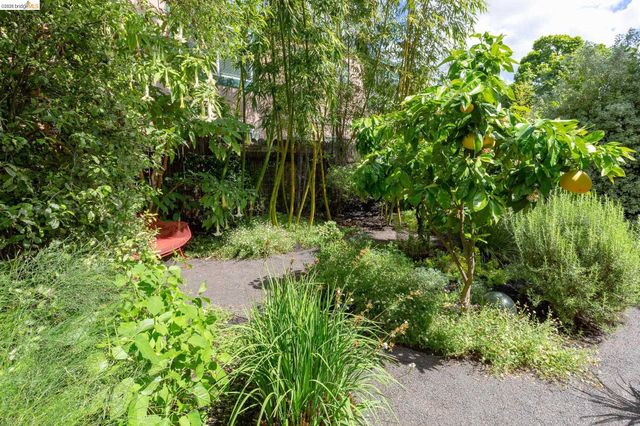 2155 Emerson Street, Berkeley, CA 94705