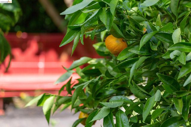 2155 Emerson Street, Berkeley, CA 94705