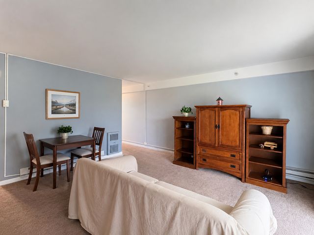 1910 W Hatherleigh Court 2C, Mount Prospect, IL 60056